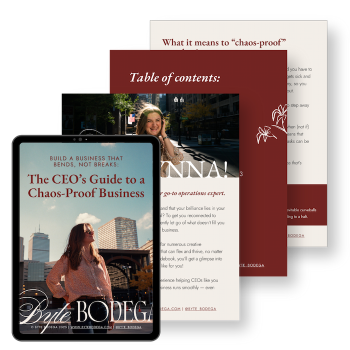 The CEO's Guide to Chaosproofing your business PDF mockup image